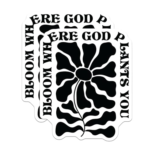(2 Pack) Bloom Where God Plants You Magnets - Inspirational Quotes Magnets - Motivational Flower Magnets - 5" On Longest Side - for Cars, Refrigerators, Toolboxes, Lockers - Made in USA BMCS3098