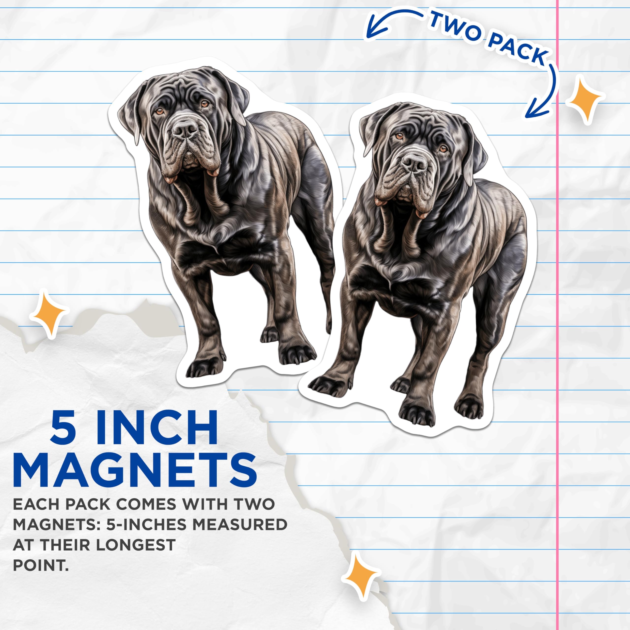(2 Pack) Neapolitan Mastiff Magnets - Dog Breed Lover - Pet Owner Present for Fridge Car Office - 5 Inches On Longest Side - Thick Durable Magnet - Made in USA - MAG30337