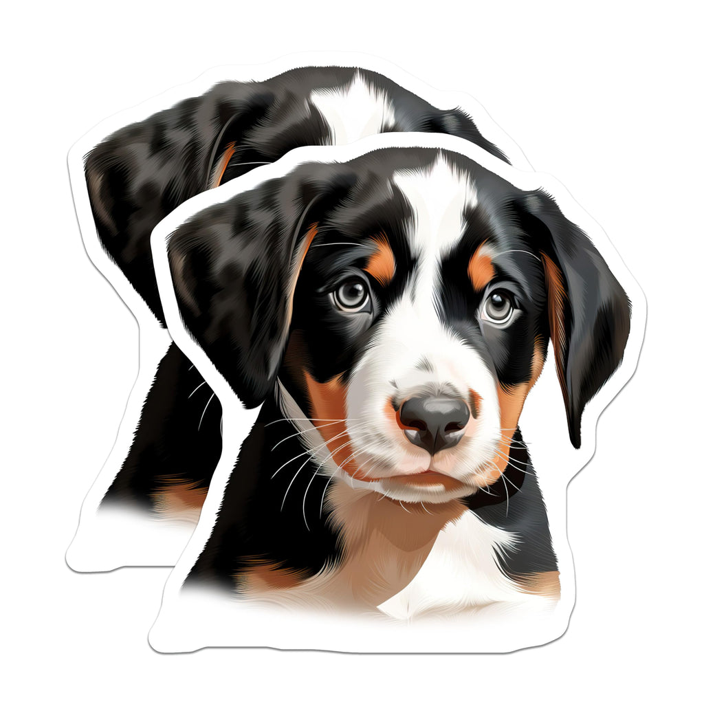 (2 Pack) Bernese Mountain Dog Puppy Magnets - Adorable Pet Lover Home Decor - Cute Dog Breed Refrigerator Art - 5 Inches On Longest Side - Thick Durable Magnet - Made in USA - MAG23923