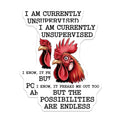 (2 Pack) Unsupervised Rooster Magnets - Funny Possibilities Quote - Sarcastic Office Humor - Fridge Locker Decor - 5 Inches On Longest Side - Thick Durable Magnet - Made in USA - MAG36647