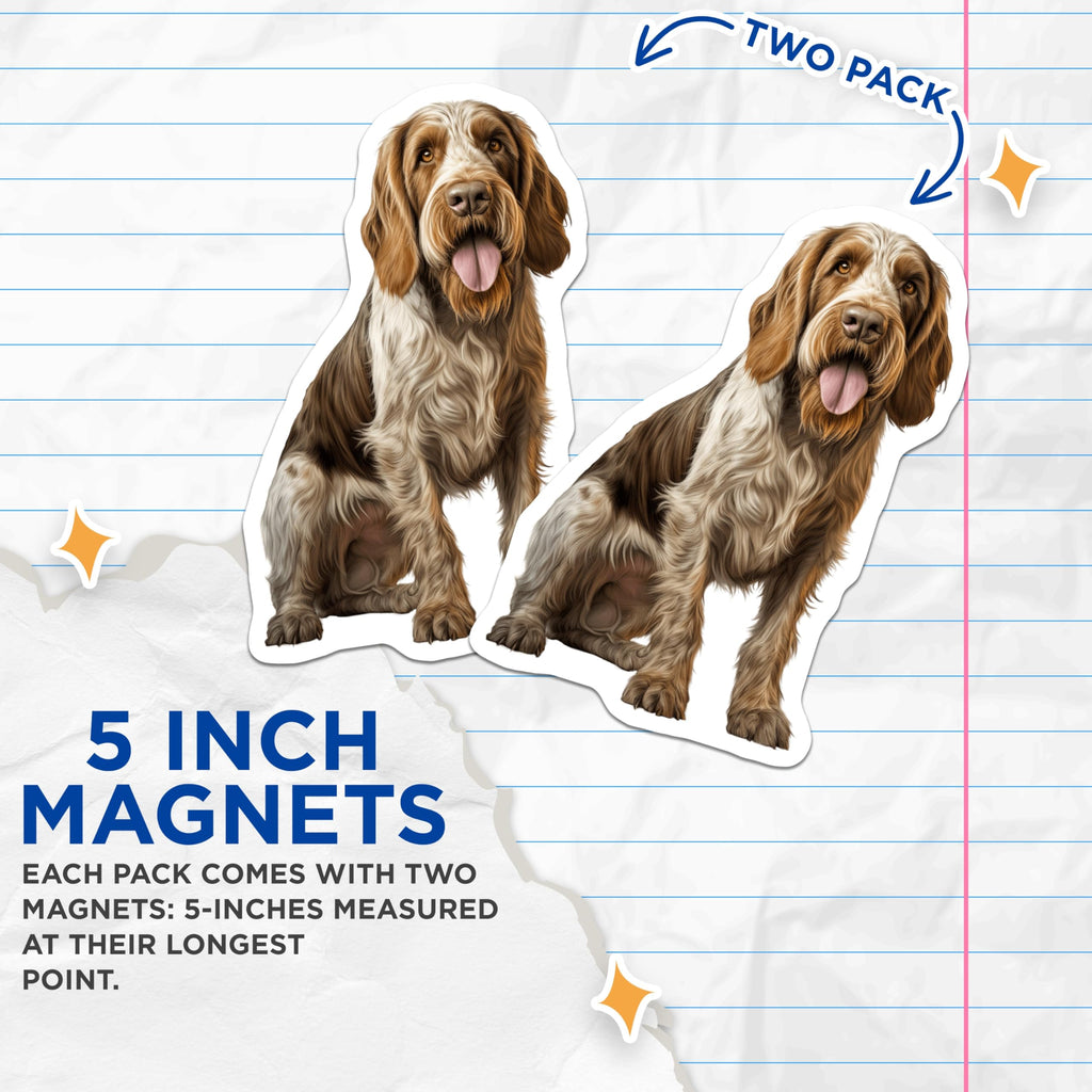 (2 Pack) Spinone Italiano Magnets - Authentic Italian Wirehaired Dog Breed Art - Canine Pet Lover Refrigerator Decor - 5 Inches On Longest Side - Thick Durable Magnet - Made in USA - MAG24708