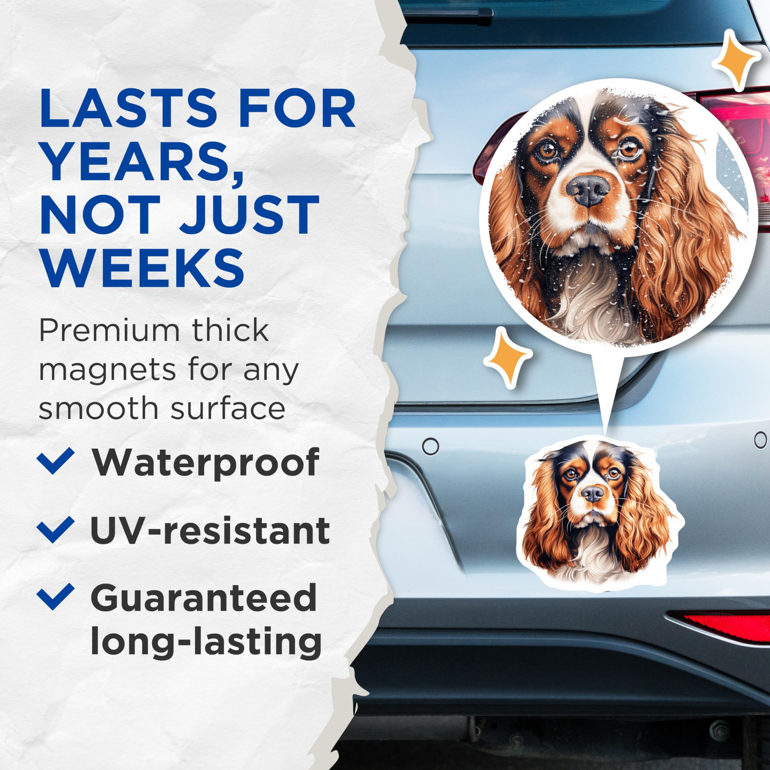 (2 Pack) Cavalier King Charles Spaniel Magnets - Dog Mom Refrigerator Decor - Pet Lover Home Accent - 5 Inches On Longest Side - Thick Durable Magnet - Made in USA - MAG26876