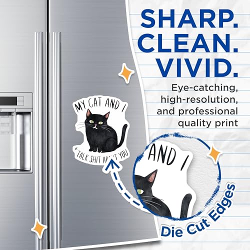 (2 Pack) Funny Cat Magnets - Snarky Cat Decor - Cat Lover Magnets - 5" On Longest Side - for Cars, Refrigerators, Toolboxes, Lockers - Made in USA BMCS3455