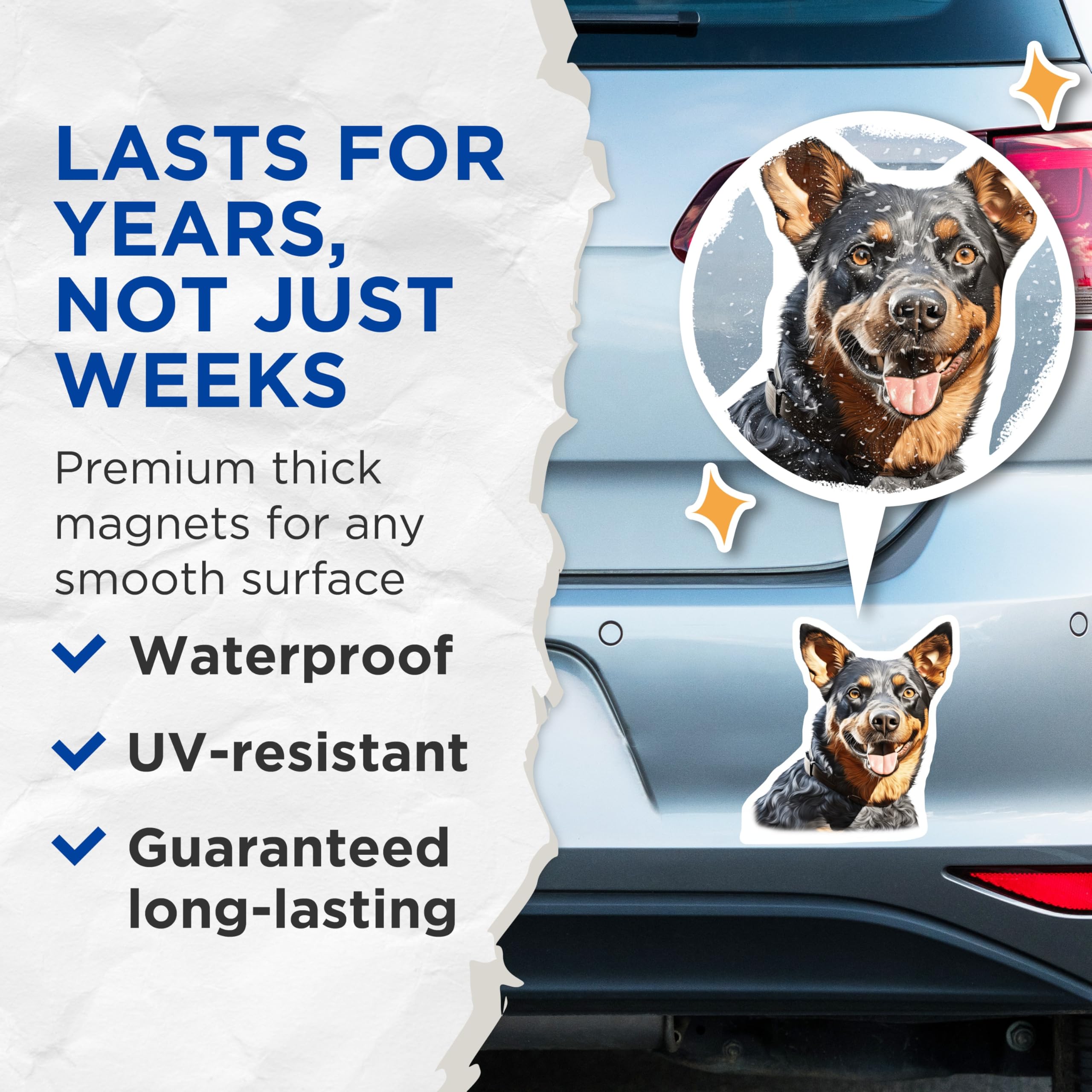 (2 Pack) Australian Cattle Dog Magnets - Blue Heeler Dog Lover Decor - Happy Heeler Pet Portrait Art - 5 Inches On Longest Side - Thick Durable Magnet - Made in USA - MAG30164