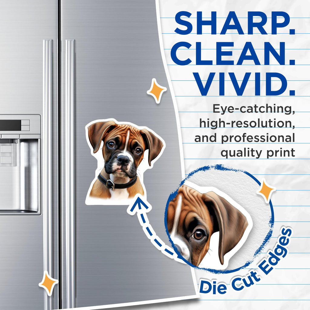 (2 Pack) Charming Fawn Boxer Puppy Dog Magnets - Cute Pet Lover Home Decor - Animal Refrigerator Magnets - 5 Inches On Longest Side - Thick Durable Magnet - Made in USA - MAG25770