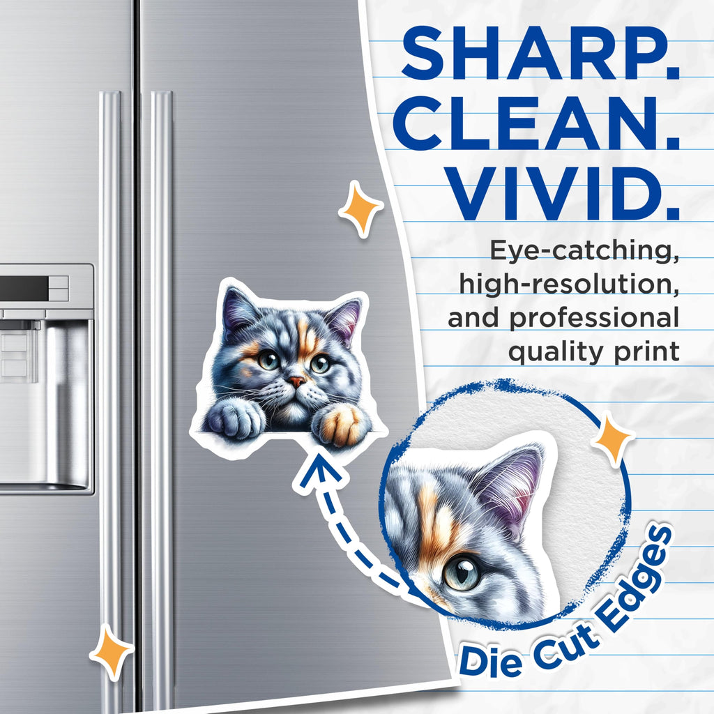 (2 Pack) Cute Cat Magnets - Kitten Fridge Decor - Adorable Pet Reminders - 5" On Longest Side - Premium Magnet - for Cars, Refrigerators, Toolboxes, Lockers - Made in USA - MAG16334