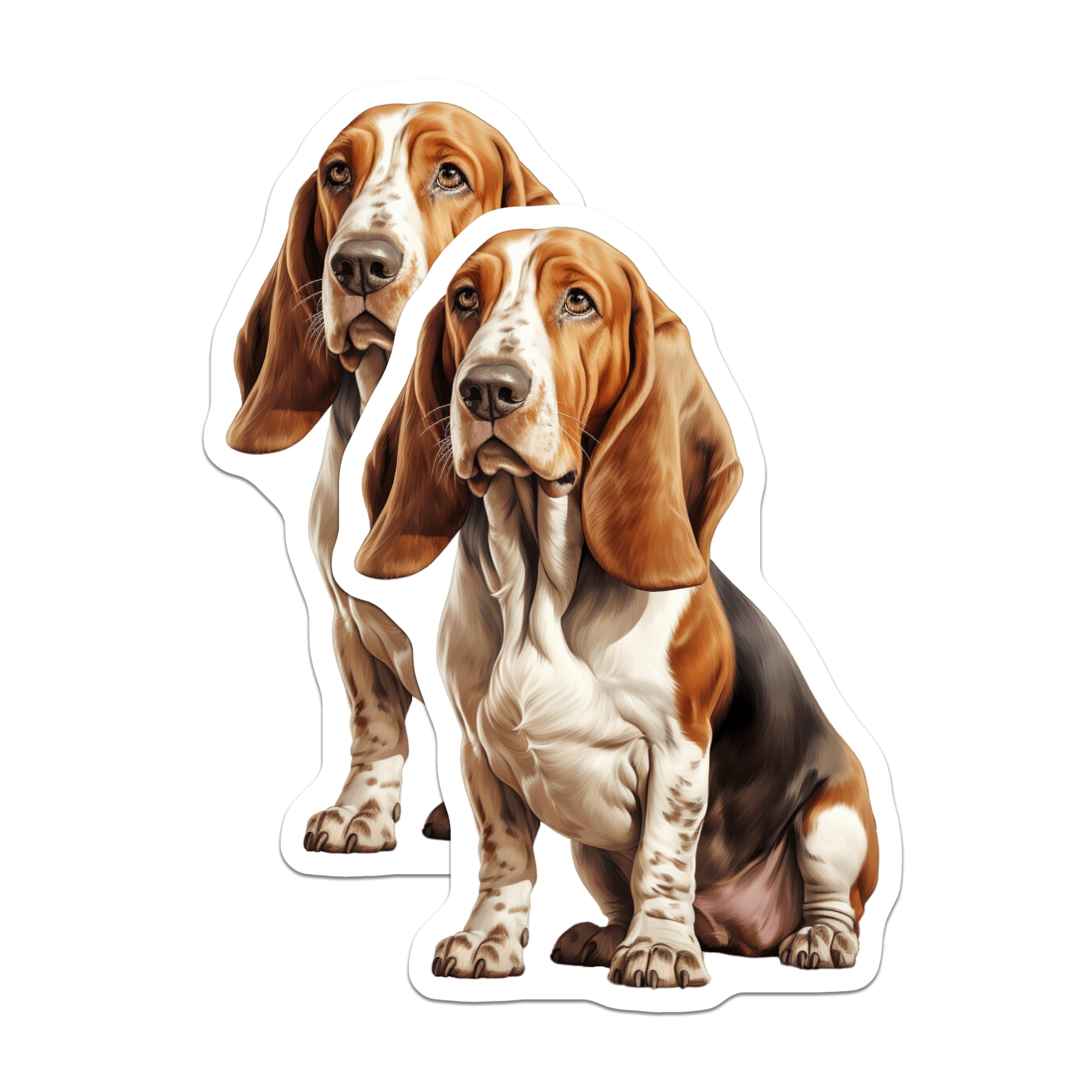 (2 Pack) Basset Hound Magnets - Dog Breed Lover Decor - Pet Owner Kitchen Accessories - Basset Hound Mom Dad - 5 Inches On Longest Side - Thick Durable Magnet - Made in USA - MAG29849