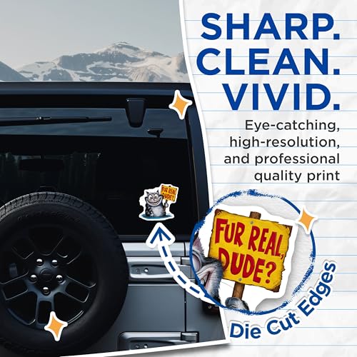 (2 Pack) Fur Real Dude Stickers - Funny Cat Quote - Animal Meme Decal - 5" On Longest Side - Sticks to Smooth Flat Surfaces - Made in USA - BMCS8775