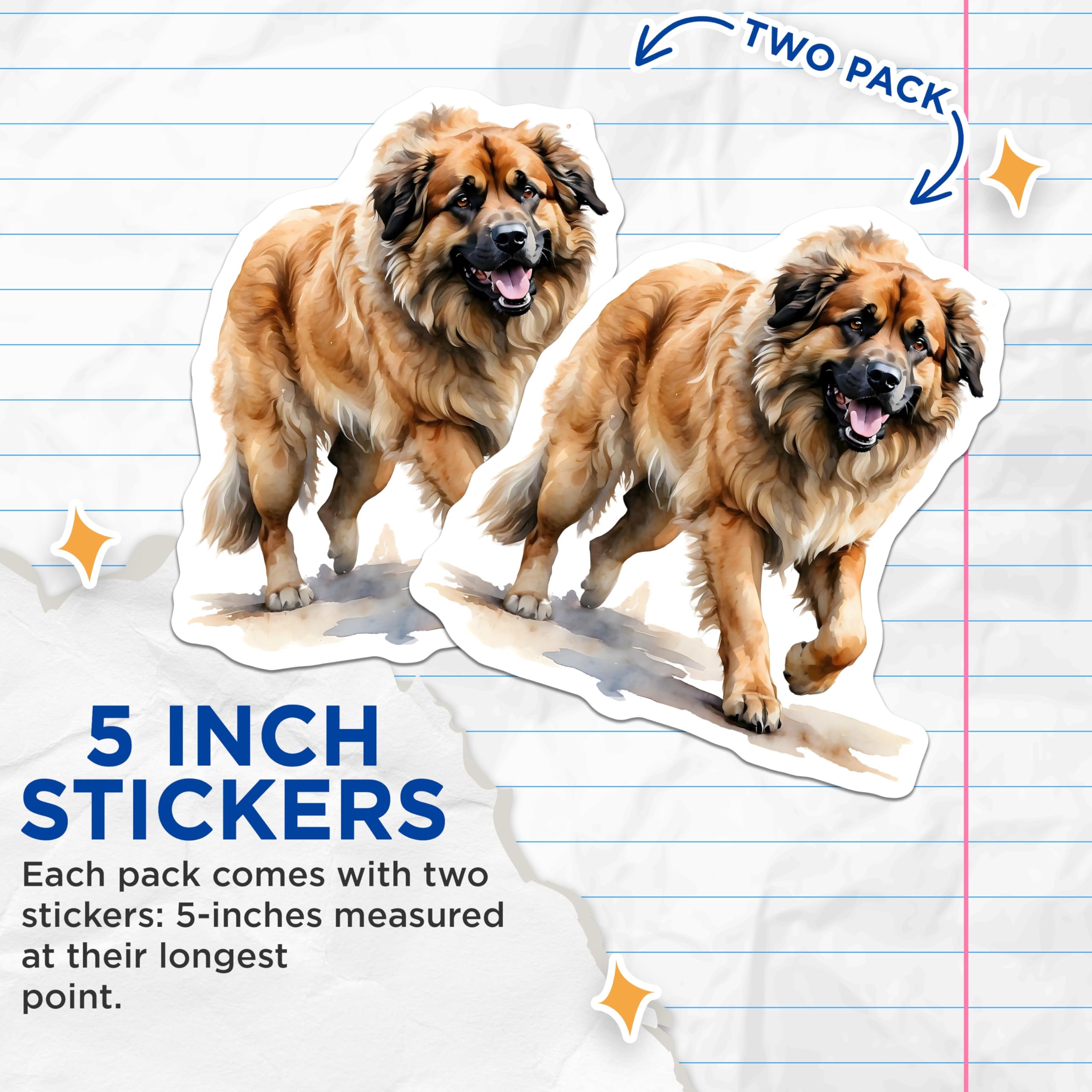 (2 Pack) Leonberger Dog Stickers - Large Breed Dog Decals - Dog Lover Items - 5" On Longest Side - Sticks to Smooth Flat Surfaces - Made in USA - BMCS15731