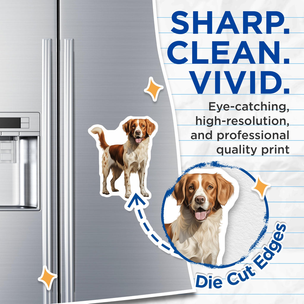 (2 Pack) Brittany Spaniel Magnets - Vibrant Orange White Dog Art - Happy Canine Companion Decor - Pet Lover Fridge Accessory - 5 Inches On Longest Side - Thick Durable Magnet - Made in USA - MAG24462