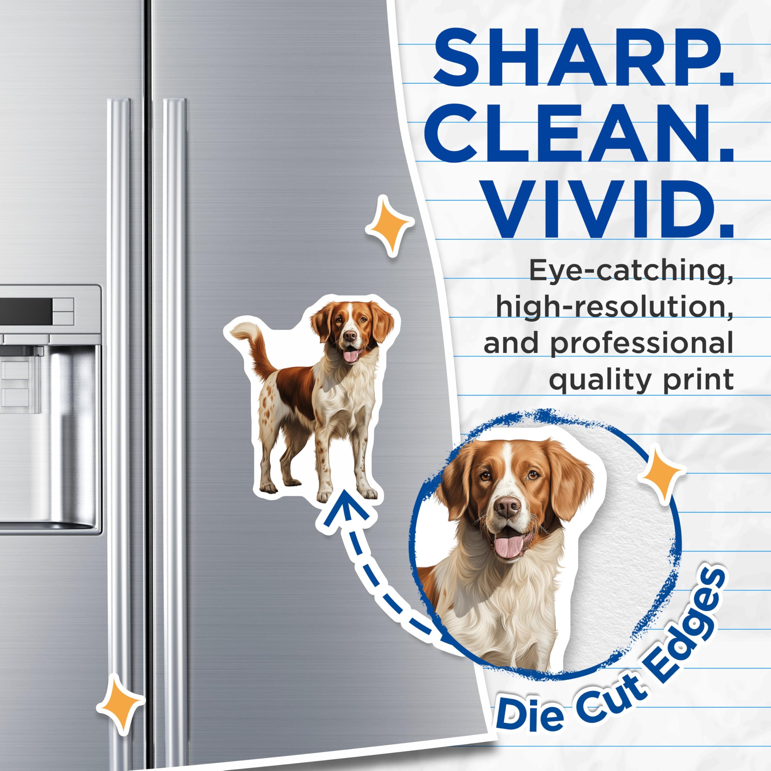 (2 Pack) Brittany Spaniel Magnets - Vibrant Orange White Dog Art - Happy Canine Companion Decor - Pet Lover Fridge Accessory - 5 Inches On Longest Side - Thick Durable Magnet - Made in USA - MAG24462