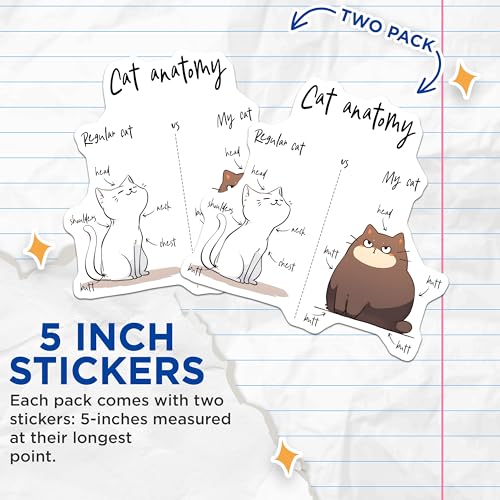 (2 Pack) Cat Anatomy Stickers - Funny Illustration - Cute Comic Drawing - 5" On Longest Side - Sticks to Smooth Flat Surfaces - Made in USA - BMCS7821