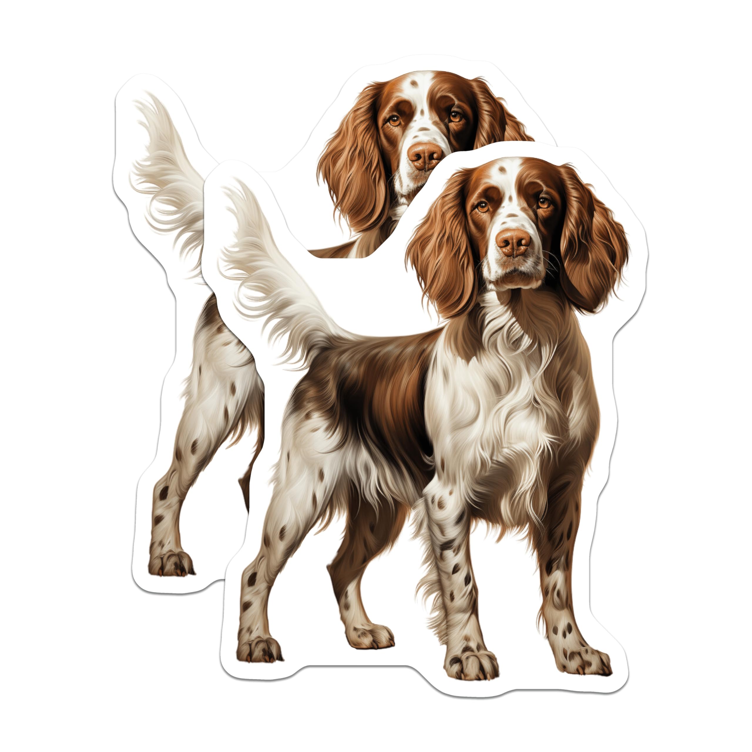 (2 Pack) English Springer Spaniel Magnets - Dog Breed Pet Lover Fridge Decor - Brown White Canine Kitchen Art - 5 Inches On Longest Side - Thick Durable Magnet - Made in USA - MAG29629