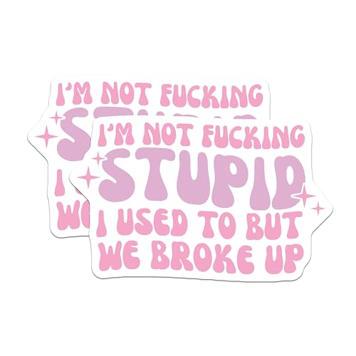 (2 Pack) Funny Phrase Stickers - Sarcastic Quote - Humorous Pink Decal - 5" On Longest Side - Sticks to Smooth Flat Surfaces - Made in USA - BMCS8486