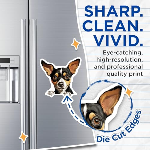 (2 Pack) Cute Dog Lover Gifts Magnet - Kitchen Decor - Pet Owner Essentials - 5" On Longest Side - Sticks to Smooth Flat Surfaces - Made in USA - MAG10262