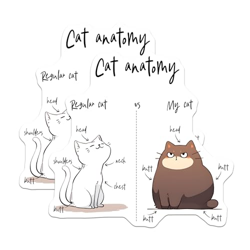 (2 Pack) Cat Anatomy Stickers - Funny Illustration - Cute Comic Drawing - 5" On Longest Side - Sticks to Smooth Flat Surfaces - Made in USA - BMCS7821