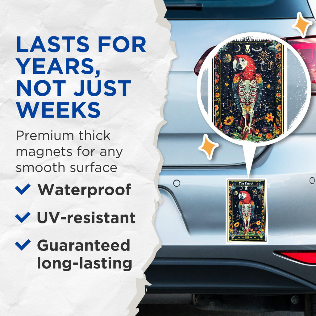 (2 Pack) Parrot Skeleton Magnets - Unique Art Magnets - Colorful Ative Magnets - Bird Skeleton Design - 5" On Longest Side - for Cars, Fridges, Toolboxes - Made in USA - MAG3684