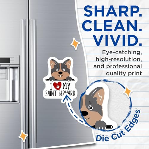 (2 Pack) I Love My Saint Bernard Magnets - Dog Lover - Cute Dog Paw Magnets for Fridge - 5" On Longest Side - for Cars, Fridges, Toolboxes - Made in USA - MAG4296