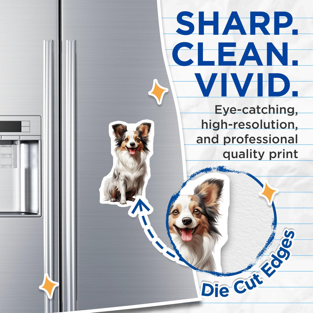 (2 Pack) Fluffy Dog Magnets - Happy Australian Shepherd Collie - Pet Lover Home Decor - 5 Inches On Longest Side - Thick Durable Magnet - Made in USA - MAG30327