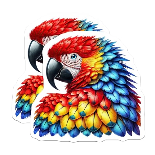 (2 Pack) Colorful Parrot Magnets - Tropical Bird Fridge ation - Vibrant Animal Art - 5" On Longest Side - for Cars, Fridges, Toolboxes - Made in USA - MAG4521