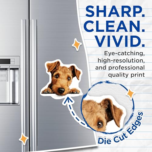 (2 Pack) Cute Puppy Decor Magnet - 5" On Longest Side - Sticks to Smooth Flat Surfaces - Made in USA - MAG10213
