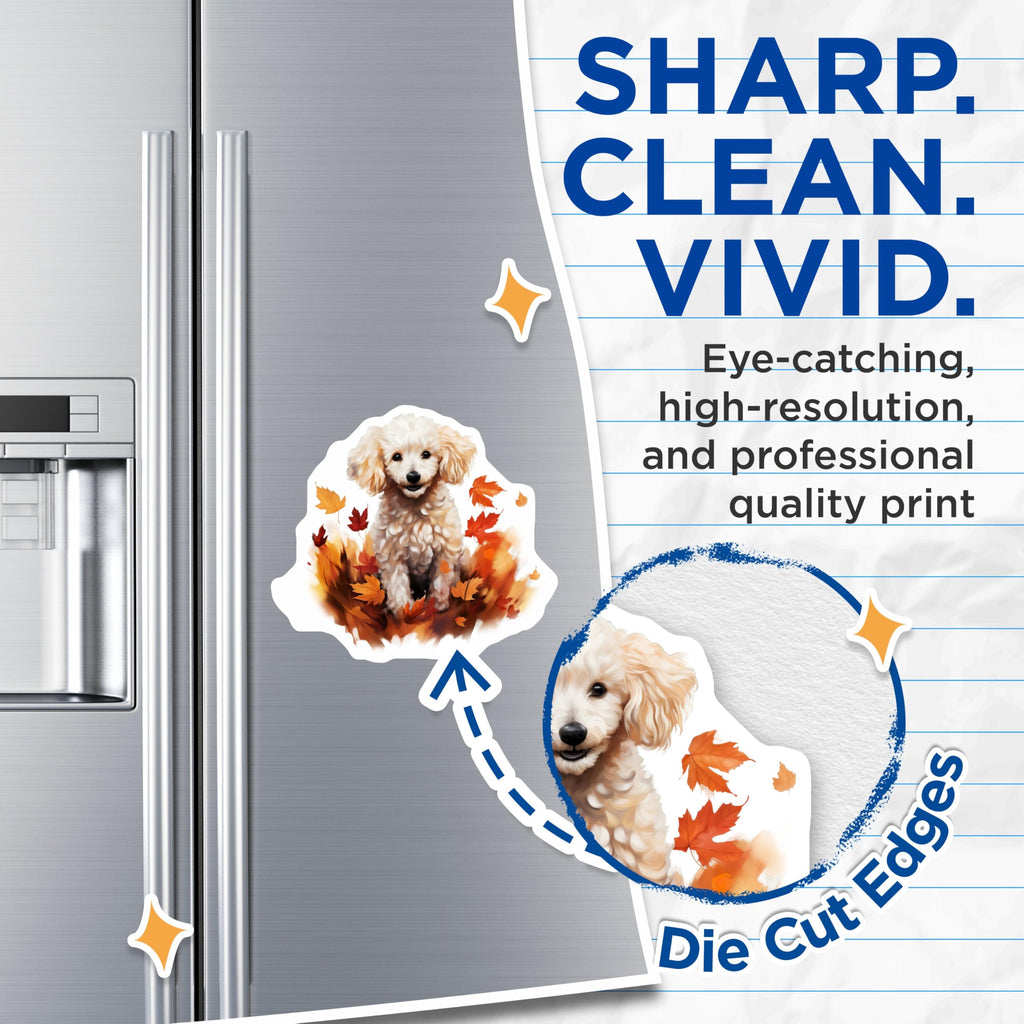 (2 Pack) Poodle Puppy Magnets - Autumn Leaves Decor - Pet Lover Refrigerator - 5 Inches On Longest Side - Thick Durable Magnet - Made in USA - MAG29614