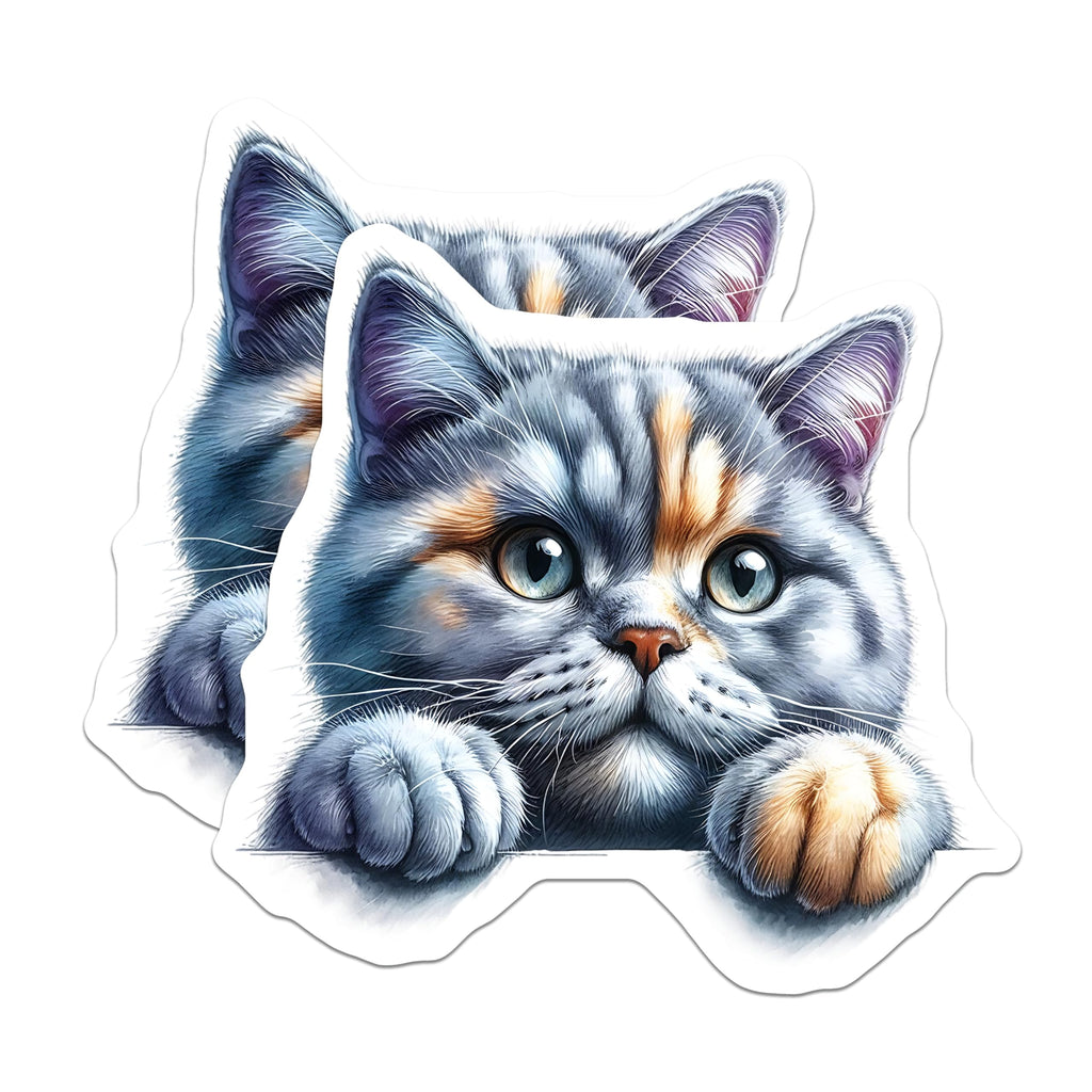 (2 Pack) Cute Cat Magnets - Kitten Fridge Decor - Adorable Pet Reminders - 5" On Longest Side - Premium Magnet - for Cars, Refrigerators, Toolboxes, Lockers - Made in USA - MAG16334