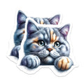 (2 Pack) Cute Cat Magnets - Kitten Fridge Decor - Adorable Pet Reminders - 5" On Longest Side - Premium Magnet - for Cars, Refrigerators, Toolboxes, Lockers - Made in USA - MAG16334