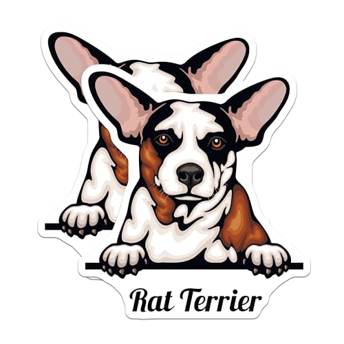 (2 Pack) Rat Terrier Magnets - Cute Dog Magnets - Pet Lover Refrigerator Magnets - 5" On Longest Side - for Cars, Fridges, Toolboxes - Made in USA - MAG4219