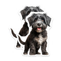 (2 Pack) Cute Fluffy Dog Magnets - Adorable Puppy Pet Portrait Magnets - Black White Animal Lover Fridge Decor for Dog Owners - 5 Inches On Longest Side - Thick Durable Magnet - Made in USA - MAG29728