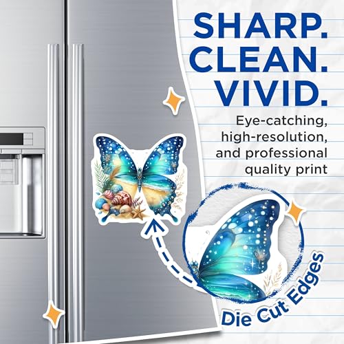 (2 Pack) Butterfly Beach Magnets - Seashell Decor - Summer Ocean Theme - 5" On Longest Side - for Cars, Fridges, Toolboxes - Made in USA - MAG7221