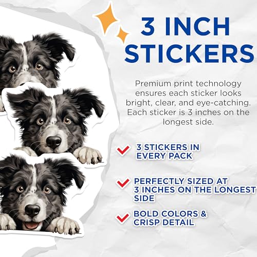 (3 Pack) Border Collie Decals - Dog Lover - Laptop Decals - 3 Inches On Longest Side - Easy Peel & Apply - Made in USA - 3MCS8708