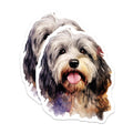 (2 Pack) Havanese Dog Watercolor Magnets - Cute Pet Animal - Dog Mom Dad Decor - 5 Inches On Longest Side - Thick Durable Magnet - Made in USA - MAG29435