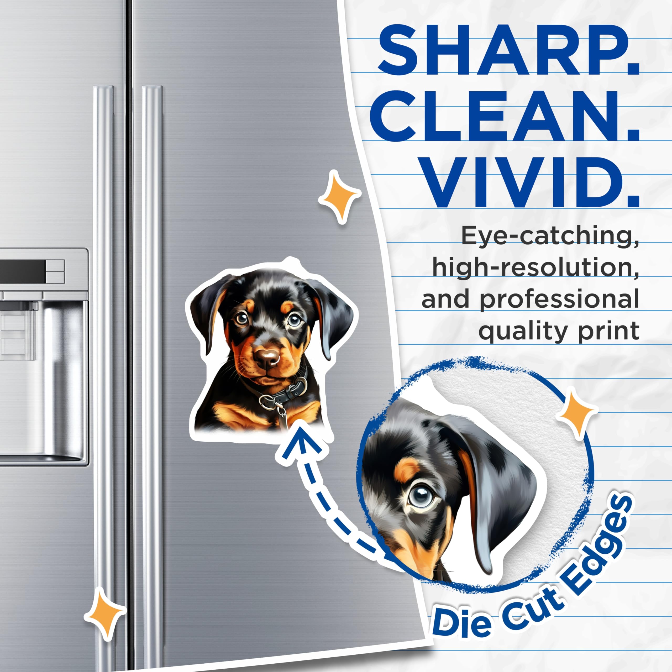 (2 Pack) Rottweiler Puppy Magnets - Cute Dog Breed Art - Pet Owner Fridge Decor - Animal Lover Collectibles - 5 Inches On Longest Side - Thick Durable Magnet - Made in USA - MAG23727