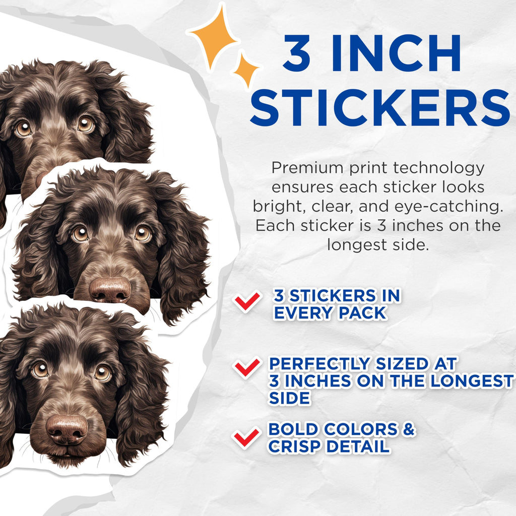 (3 Pack) Boykin Spaniel Decals - Dog Breed Stickers - Laptop Decal - 3 Inches On Longest Side - Easy Peel & Apply - Made in USA - 3MCS8591