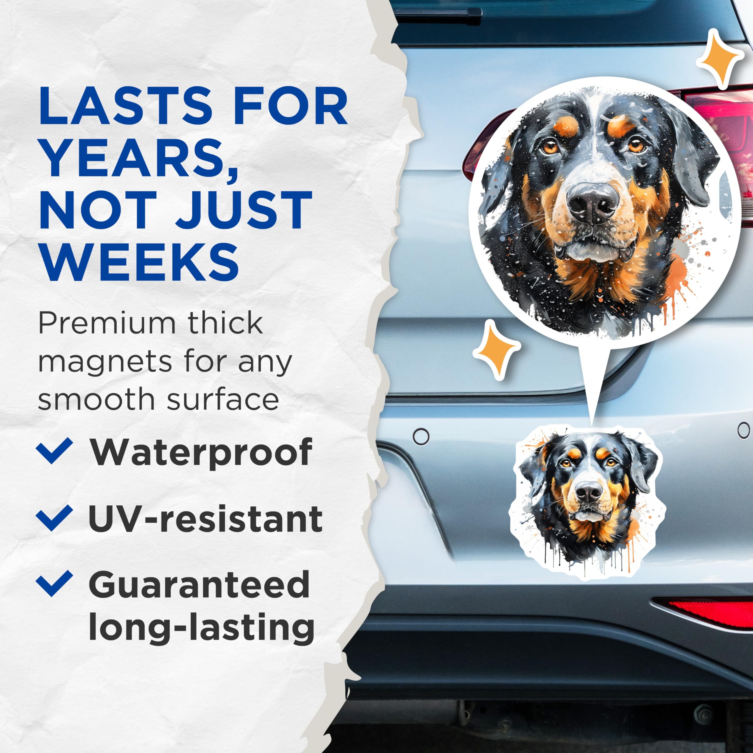(2 Pack) Bernese Mountain Dog Magnets - Artistic Dog Design - Canine Refrigerator Decor - Animal Lover Magnet - 5 Inches On Longest Side - Thick Durable Magnet - Made in USA - MAG24789
