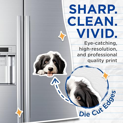(2 Pack) Adorable Canine Artwork Magnet - Animal Lover Fridge Decor - 5" On Longest Side - Sticks to Smooth Flat Surfaces - Made in USA - MAG9856