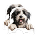 (2 Pack) Pet Lover Home Decor Magnet - 5" On Longest Side - Sticks to Smooth Flat Surfaces - Made in USA - MAG10252