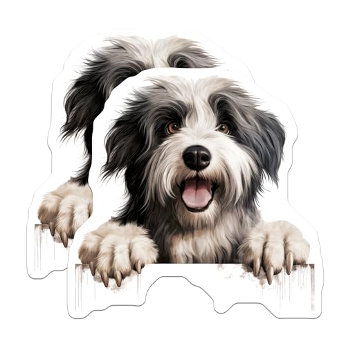 (2 Pack) Pet Lover Home Decor Magnet - 5" On Longest Side - Sticks to Smooth Flat Surfaces - Made in USA - MAG10252