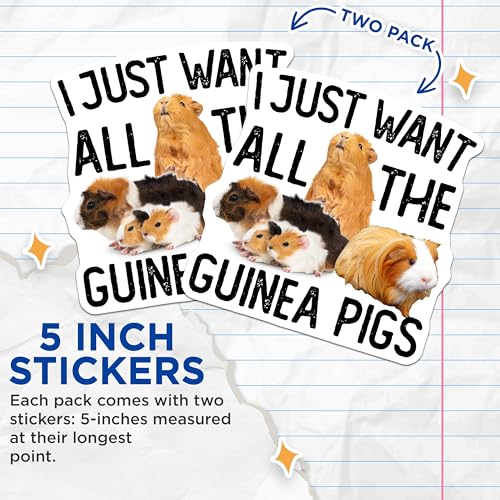 (2 Pack) Guinea Pig Stickers - Cute Animal Stickers - Funny Pet Stickers - 5" On Longest Side - Sticks to Smooth Flat Surfaces - Made in USA - BMCS5098