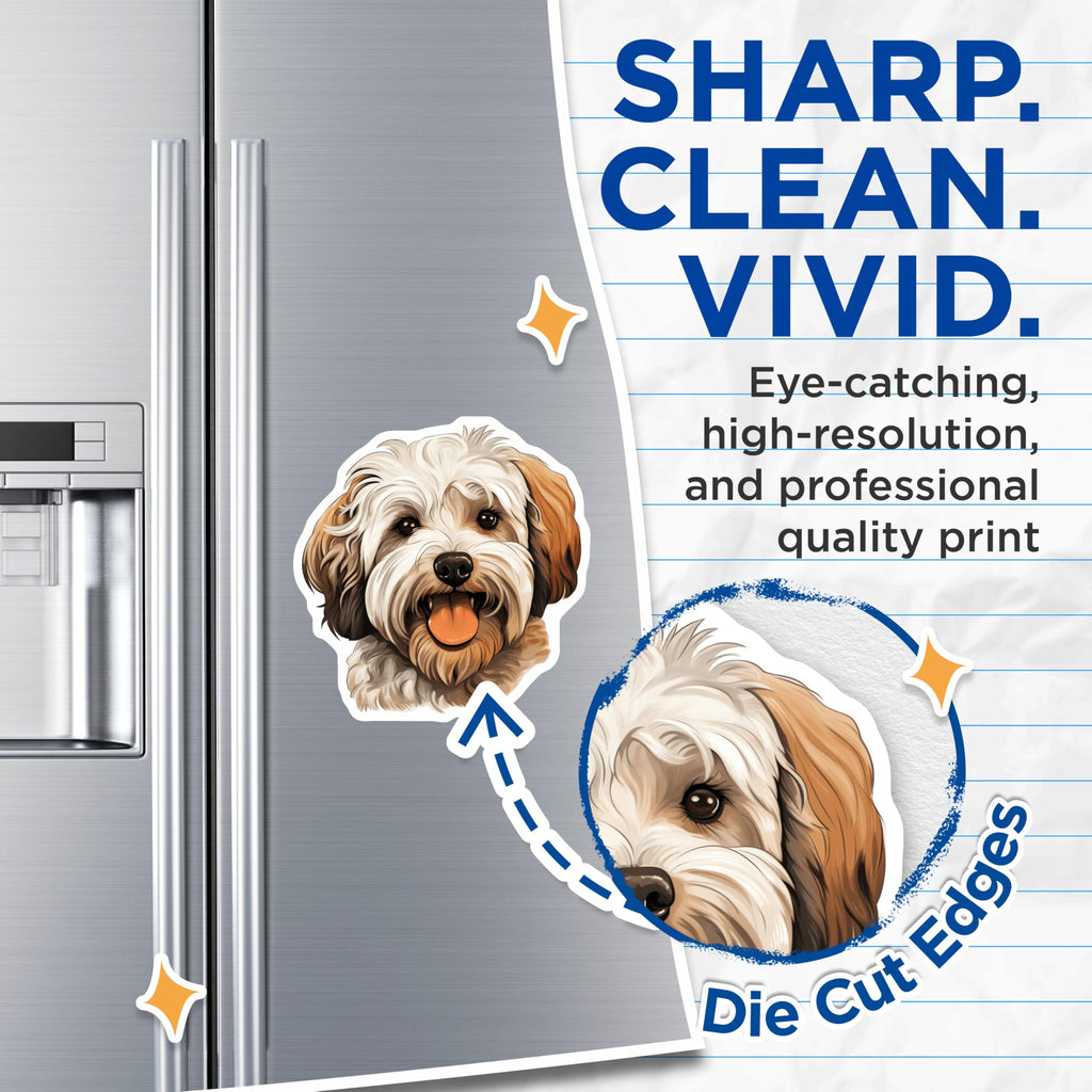 (2 Pack) Havanese Dog Magnets - Cute Pet Lover Decor - Happy Puppy Animal Art - 5 Inches On Longest Side - Thick Durable Magnet - Made in USA - MAG27297
