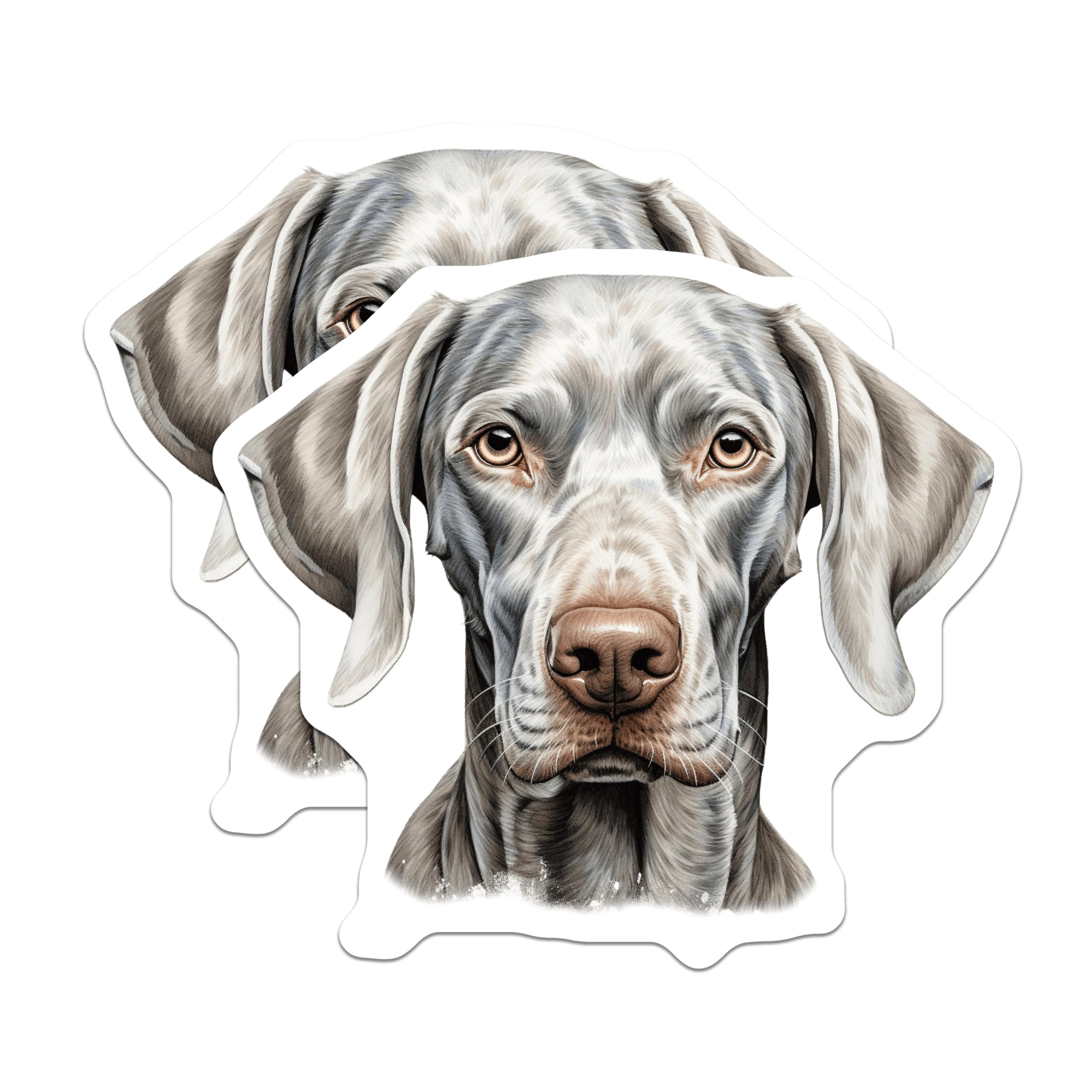 (2 Pack) Weimaraner Dog Magnets - Elegant Canine Portrait Art - Silver Gray Pointer Breed Decor - Animal Lovers Display - 5 Inches On Longest Side - Thick Durable Magnet - Made in USA - MAG24045