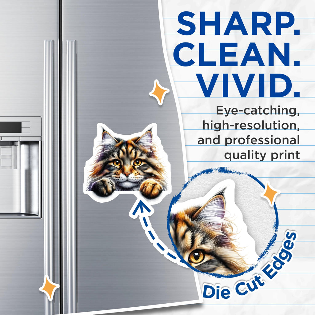 (2 Pack) Maine Coon Magnets - Striped Cat Refrigerator Magnet - Pet Lover Novelty Decor - 5" On Longest Side - Premium Magnet - for Cars, Refrigerators, Toolboxes, Lockers - Made in USA - MAG15177