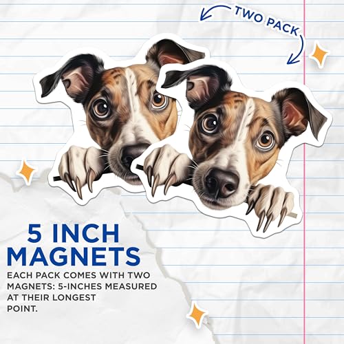 (2 Pack) Refrigerator Decoration Magnet - 5" On Longest Side - Sticks to Smooth Flat Surfaces - Made in USA - MAG10188
