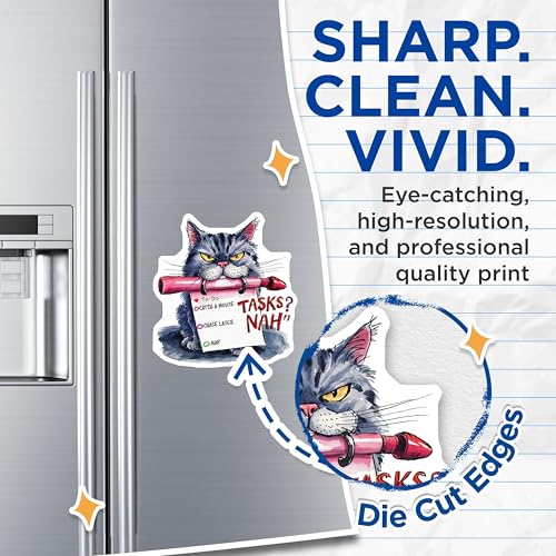 (2 Pack) Funny Cat Magnets Magnets - to-Do List Humor - 5" On Longest Side - Made in USA - Sticks to Refrigerators & Metal Surfaces - MAG8563