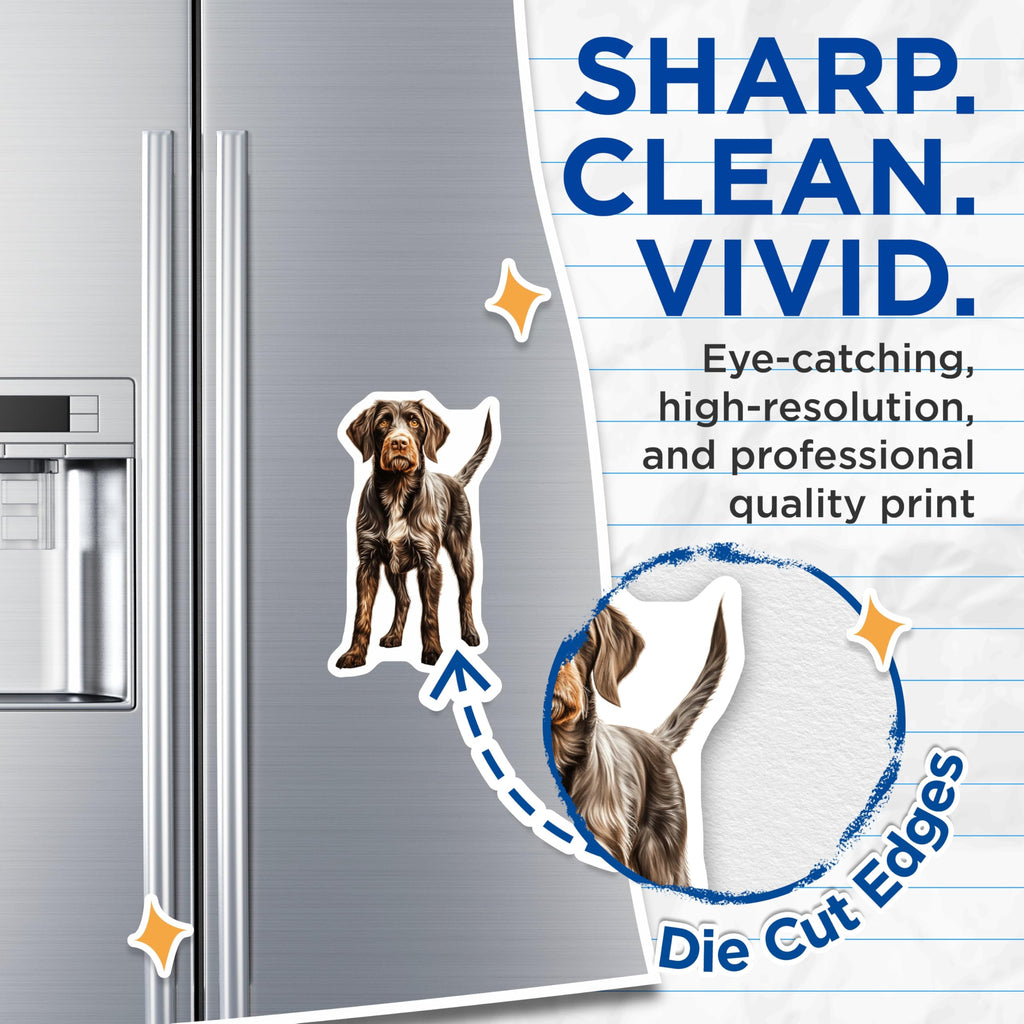 (2 Pack) German Wirehaired Pointer Magnets - GWP Dog Art - Hunting Dog Lover Pet Owner - 5 Inches On Longest Side - Thick Durable Magnet - Made in USA - MAG27426