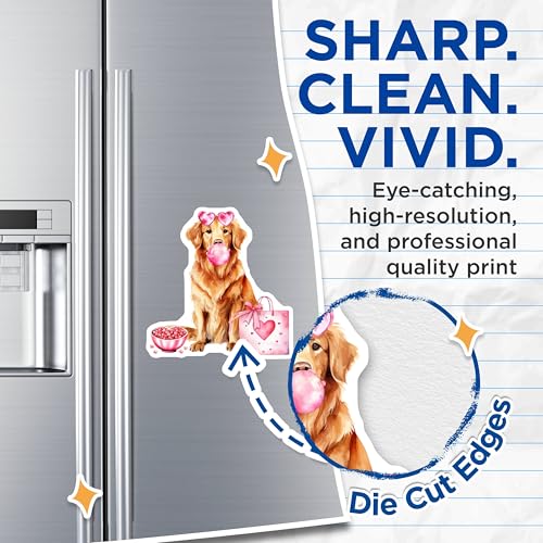 (2 Pack) Cute Golden Retriever Magnets - Heart Glasses Dog Magnets - Puppy Lover Kitchen Decor Magnets - 5" On Longest Side - for Cars, Refrigerators, Toolboxes, Lockers - Made in USA BMCS3478