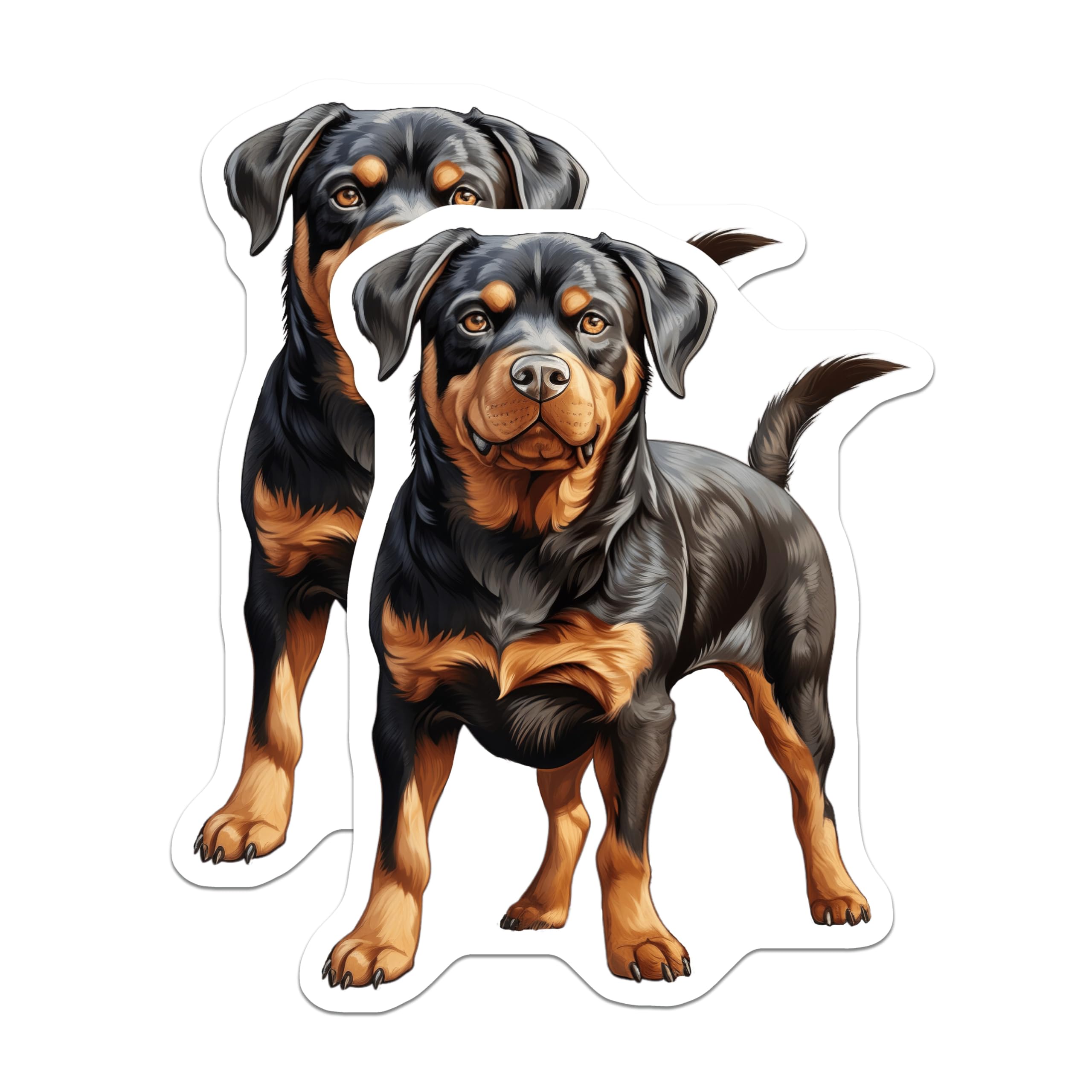 (2 Pack) Rottweiler Dog Magnets - Loyal Companion Fridge Decor - Dog Mom Pet Lover Kitchen Decor Magnets - 5 Inches On Longest Side - Thick Durable Magnet - Made in USA - MAG25694