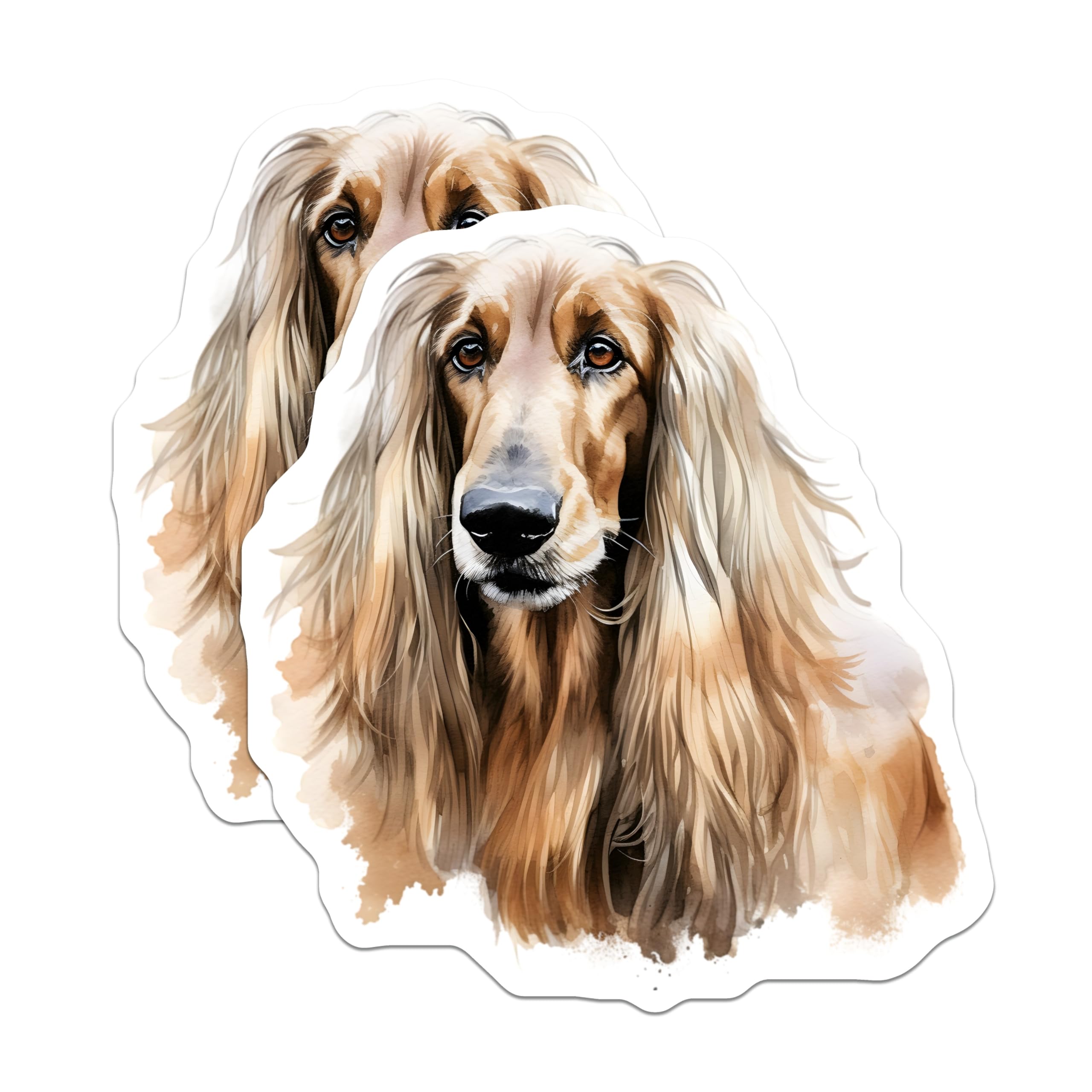 (2 Pack) Afghan Hound Magnets - Watercolor Dog Art - Elegant Pet Decor - 5 Inches On Longest Side - Thick Durable Magnet - Made in USA - MAG27685