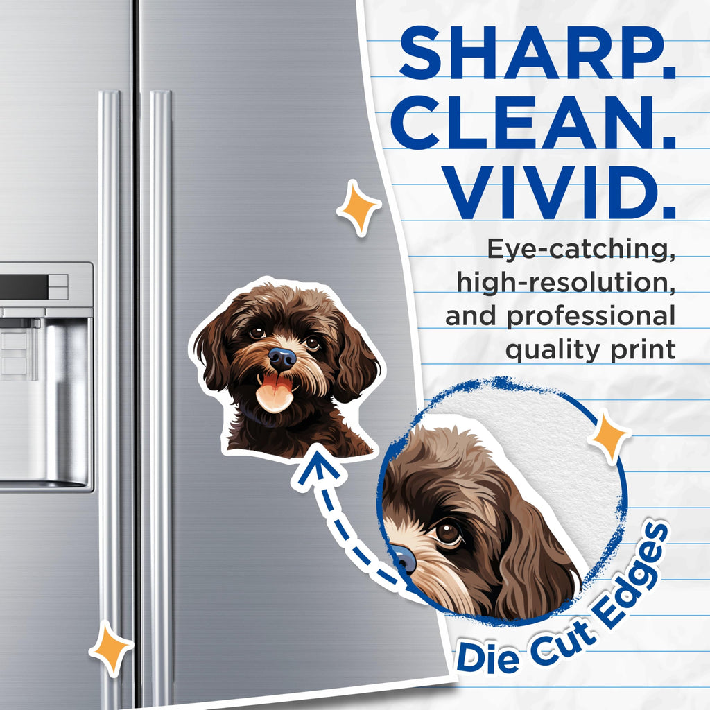 (2 Pack) Cockapoo Puppy Magnets - Cute Dog Lover Decor - Pet Parent Fridge Accessory - 5 Inches On Longest Side - Thick Durable Magnet - Made in USA - MAG26222